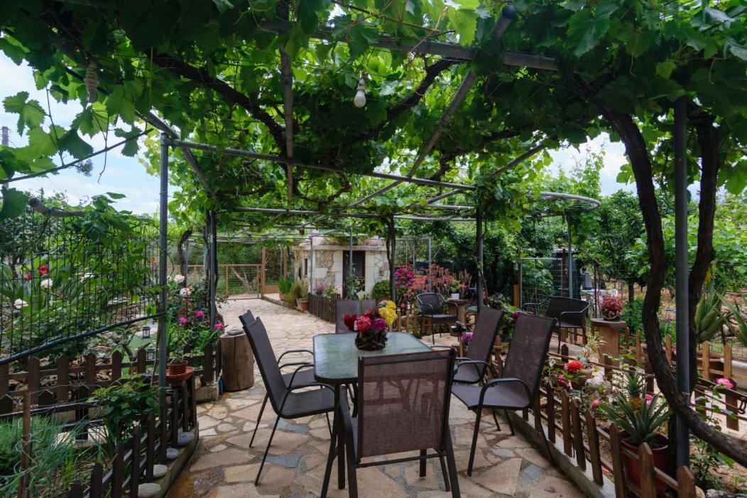 Dimitris'S Country House Agia  Exterior foto