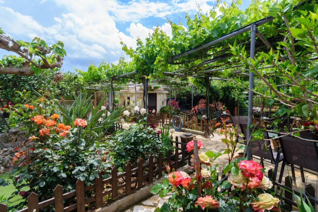 Dimitris'S Country House Agia  Exterior foto