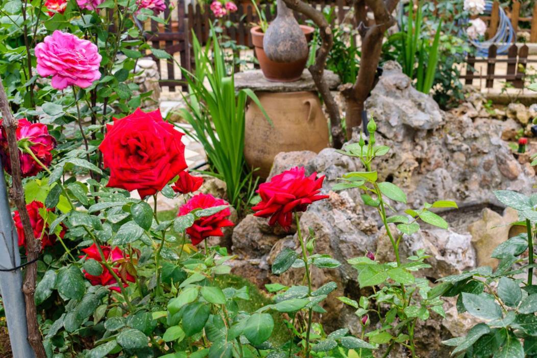 Dimitris'S Country House Agia  Exterior foto